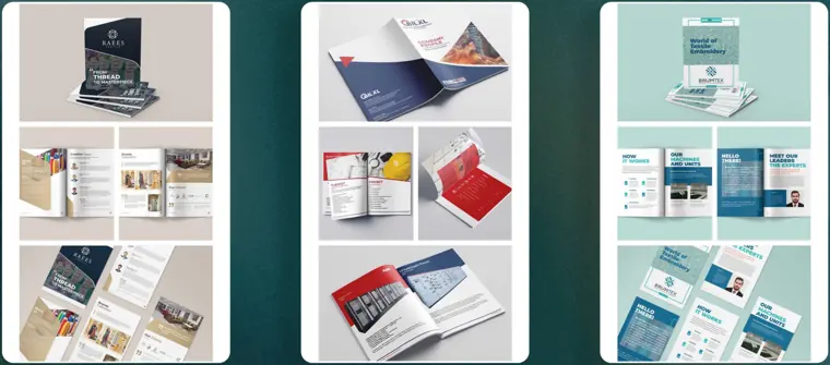 Company profiles: Raees, BILXL, Brumtex